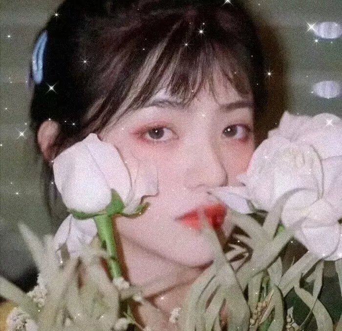 夜夜望春归